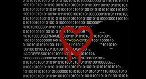 Open SSL Bug, Heartbleed